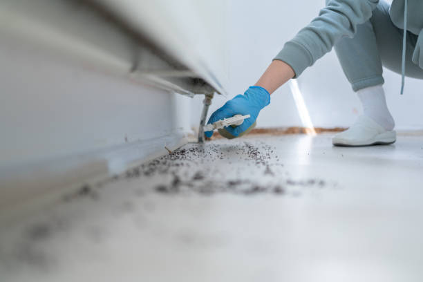 Best Pest Prevention Services  in Cross Plains, TX